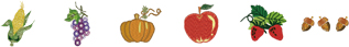 USBメモリ内蔵刺しゅうデザイン フルーツ(Fruits)